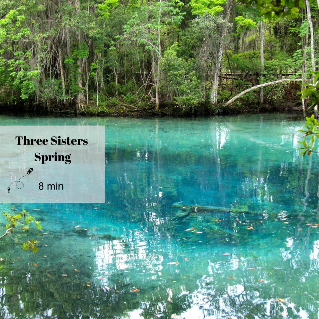 New 6Min To 3 Sister Springs, Spacious, Fun With Game Room Crystal River Exterior foto
